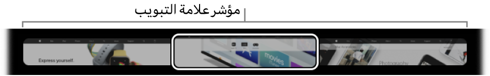 مؤشر علامات التبويب في الـ Touch Bar الخاص بتطبيق Safari. وهو يعرض معاينة صغيرة لكل علامة تبويب مفتوحة.