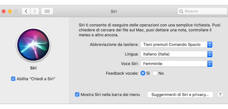 La finestra delle preferenze Siri con “Abilita Chiedi a Siri” selezionato sulla sinistra e varie opzione per la personalizzazione di Siri sulla destra.