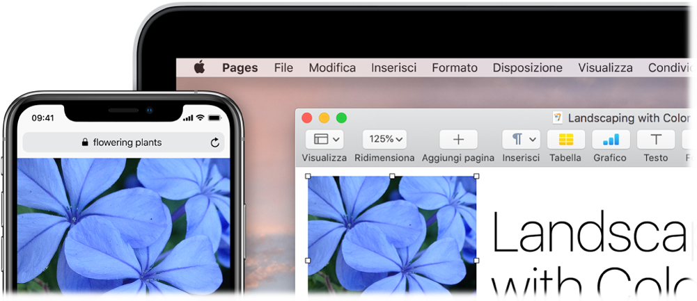 iPhone che mostra una foto, accanto a un Mac che mostra la stessa foto incollata in un documento di Pages.