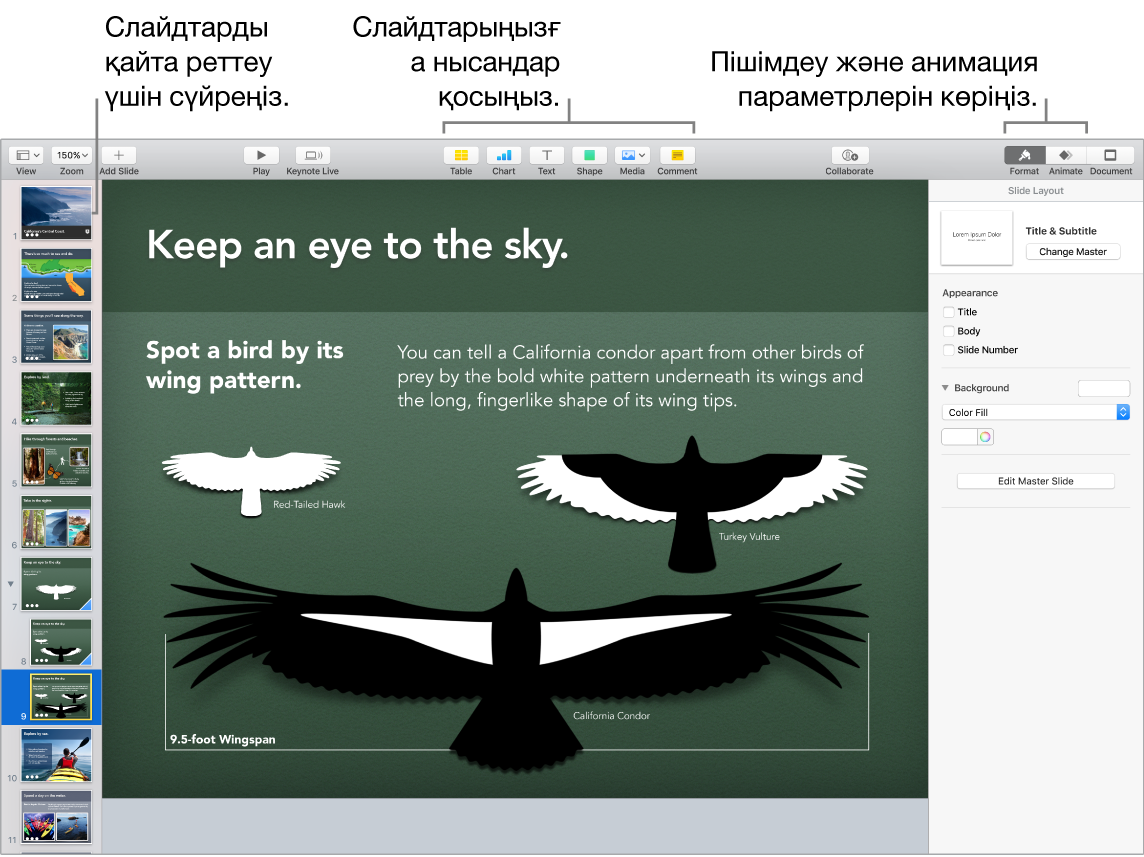 Слайдтарды қайта реттеу жолын және нысандарды слайдтарға қосуға мүмкіндік беретін түймелерді, соның ішінде пішім мен анимация параметрлерін көрсетіп тұрған Keynote терезесі.