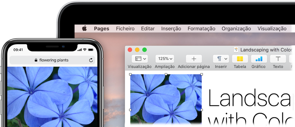 Um iPhone a mostrar uma fotografia junto a um Mac com essa mesma fotografia a ser colada num documento do Pages.