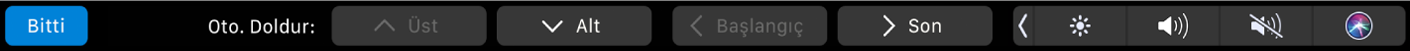 Otomatik doldurma düğmelerinin görüntülendiği Numbers Touch Bar’ı. Bunların arasında üst, alt, başlangıç ve bitiş bulunur.