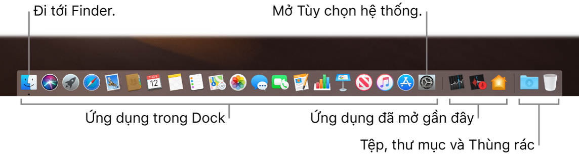 Dock, đang hiển thị Finder, Tùy chọn hệ thống và đường thẳng trên Dock chia tách ứng dụng khỏi các tệp và thư mục.