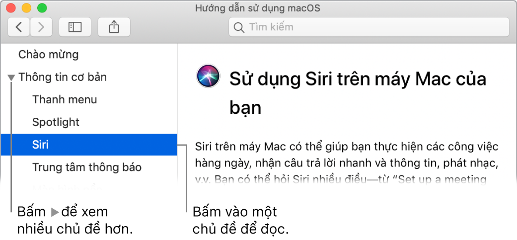 Trình xem Trợ giúp đang minh họa cách xem các chủ đề được liệt kê trong thanh bên và cách hiển thị nội dung của một chủ đề.