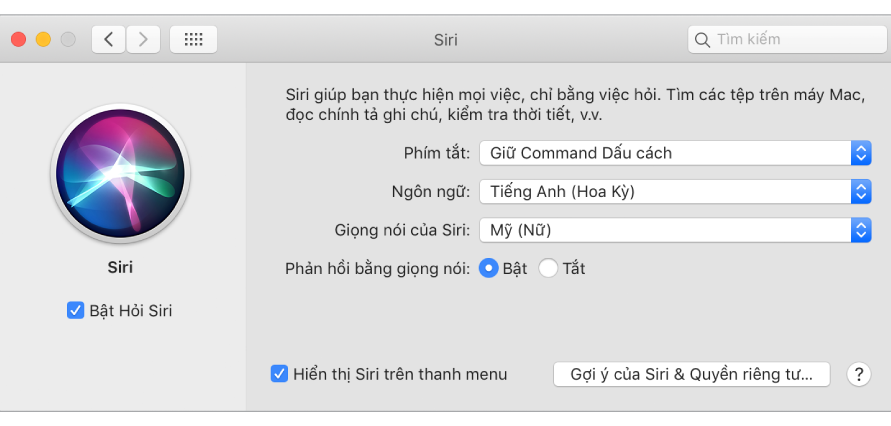 Cửa sổ tùy chọn Siri với Bật Hỏi Siri được chọn ở bên trái và một số tùy chọn để tùy chỉnh Siri ở bên phải.