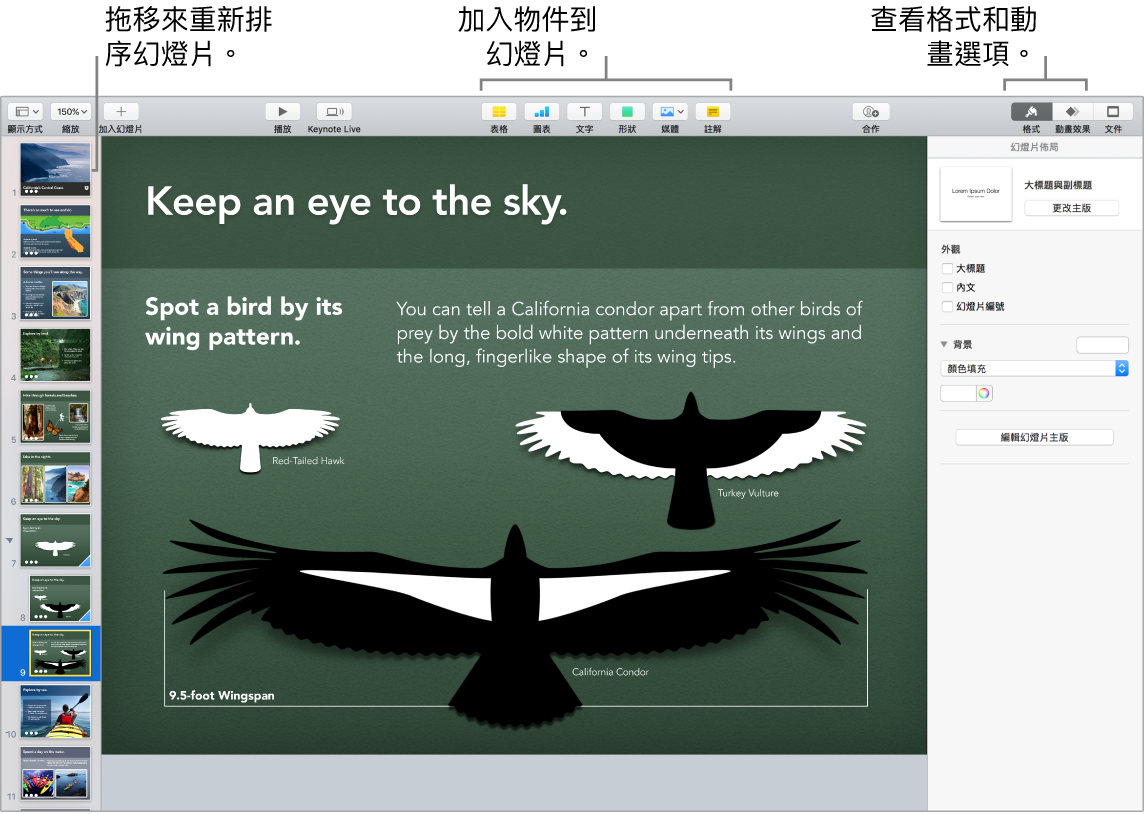 Keynote 視窗，顯示如何重新排序幻燈片，以及標明可讓您將物件加入幻燈片的按鈕，包含格式和動畫選項。
