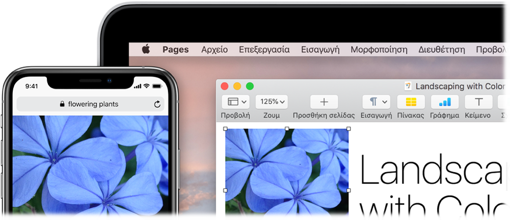 Ένα iPhone όπου εμφανίζεται μια φωτογραφία, δίπλα σε ένα Mac όπου φαίνεται η επικόλληση της φωτογραφίας σε ένα έγγραφο Pages.