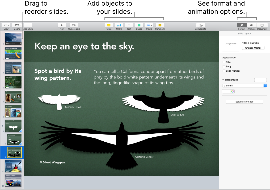 Keynote window showing how to reorder slides, and identifying buttons that let you add objects to slides, including format and animation options.