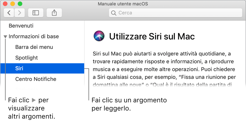 Visore di Aiuto che mostra come visualizzare gli argomenti elencati nella barra laterale e il contenuto di un argomento.