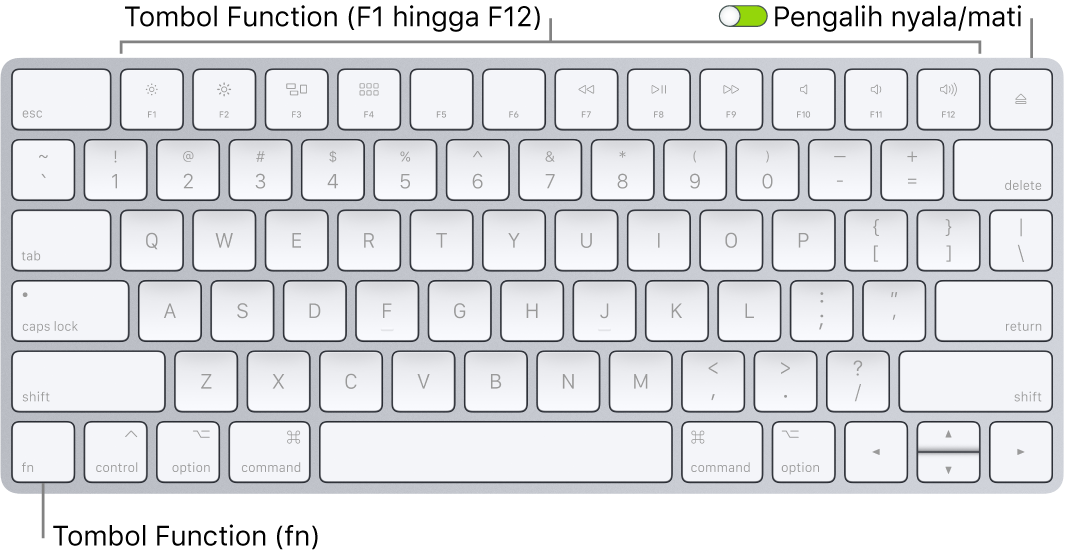 Magic Keyboard menampilkan tombol Function (Fn) di pojok kiri bawah dan pengalih nyala/mati di pojok kanan atas papan ketik.