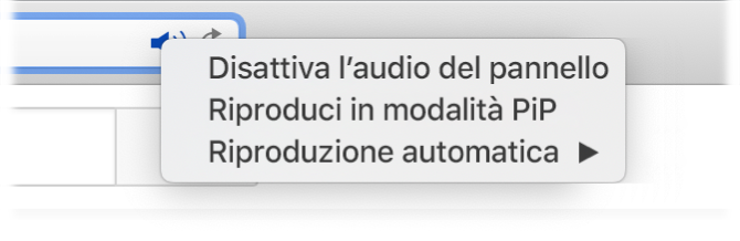 Il sottomenu dell'icona Audio, con gli elementi “Disattiva l'audio del pannello”, “Riproduci in modalità PiP” e “Riproduzione automatica”.