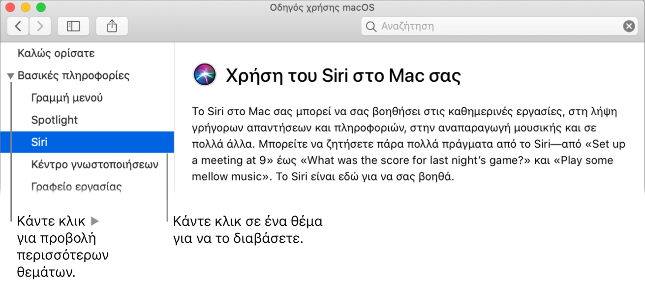 Η προβολή Βοήθειας στην οποία φαίνεται ο τρόπος προβολής θεμάτων στην πλαϊνή στήλη και ο τρόπος εμφάνισης του περιεχομένου ενός θέματος.