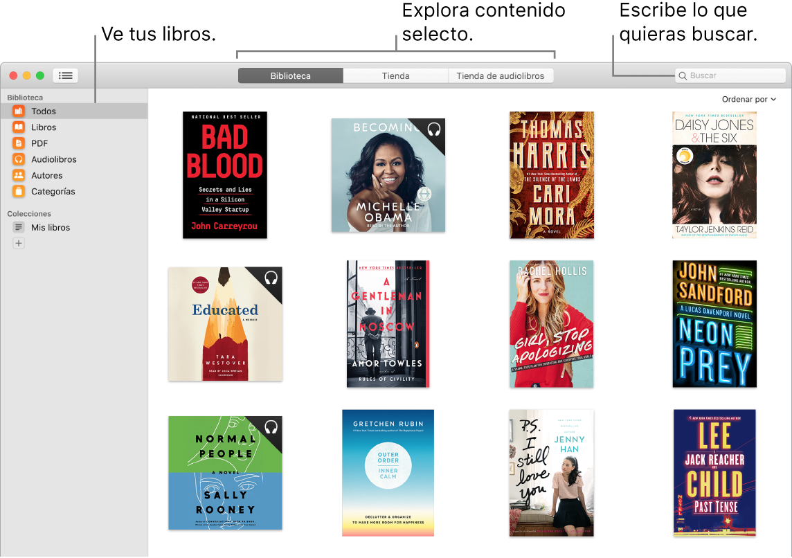 Ventana de la app Libros mostrando cómo ver libros, explorar contenido selecto y buscar.