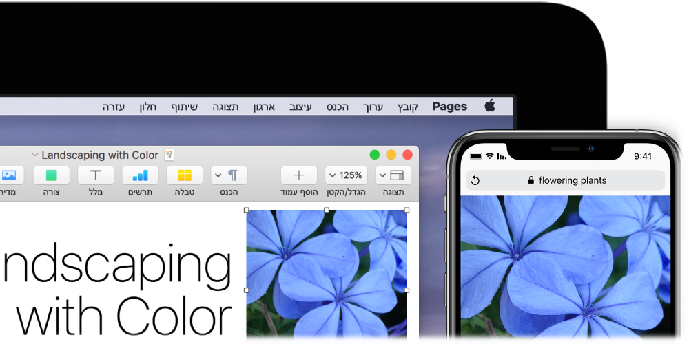 מכשיר iPhone המציג תמונה, לצד Mac המציג את אותה תמונה מודבקת במסמך Pages.