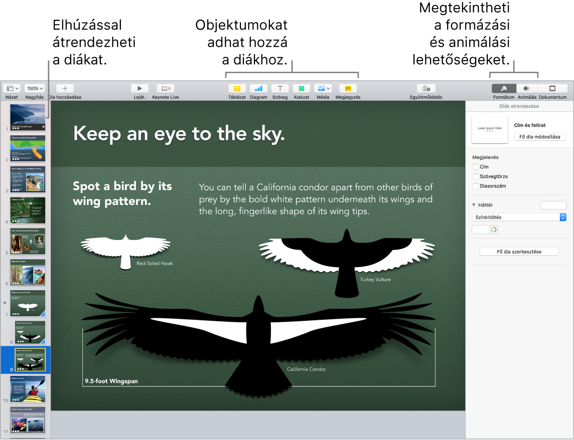 Egy Keynote-ablak, amelyben a diák átrendezésének módja látható, valamint azok a gombok, amelyekkel objektumokat adhat a diákhoz, továbbá a formázási és animálási lehetőségek is.