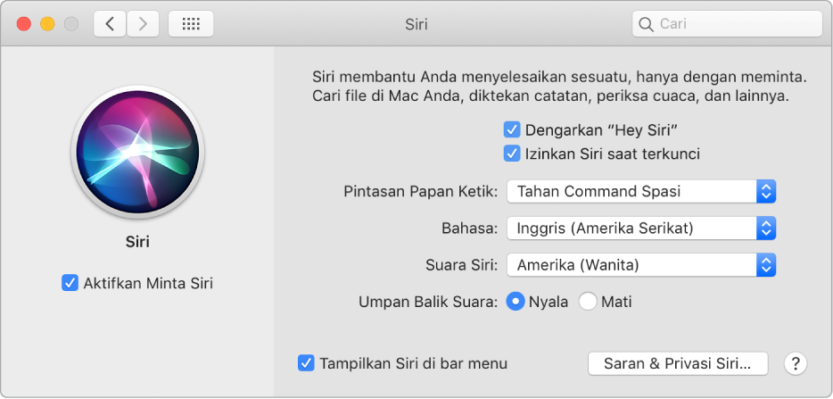 Jendela preferensi Siri dengan Aktifkan Minta Siri dipilih di sebelah kiri dan beberapa pilihan untuk menyesuaikan Siri di sebelah kanan, termasuk “Dengarkan ‘Hey Siri’.”