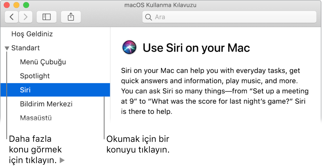 Yardım görüntüleyici, kenar çubuğunda listelenen konuların gösterilmesini ve bir konunun içeriğinin görüntülenmesini gösteriyor.