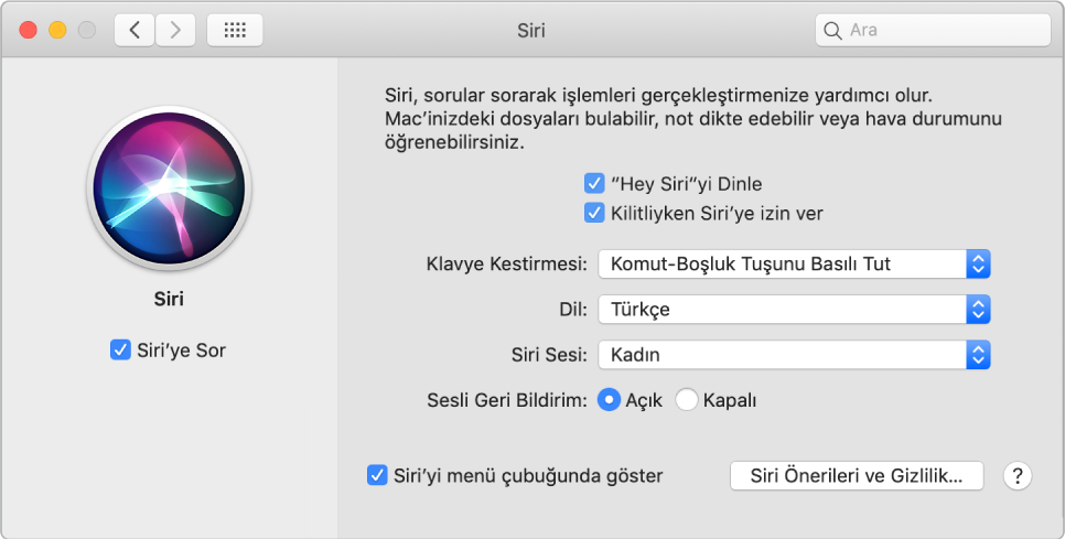 Sol tarafta Siri’ye Sor seçili hâlde olan ve sağ tarafta “‘Hey Siri’yi Dinle” de dahil olmak üzere Siri’yi özelleştirmeyle ilgili çeşitli seçenekler bulunan Siri tercihleri penceresi.