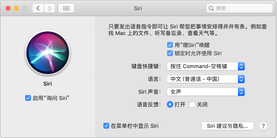 Siri 偏好设置窗口，左边“启用‘询问 Siri’”已选，右边显示多个自定 Siri 的选项，包括“用‘嘿Siri’唤醒”。