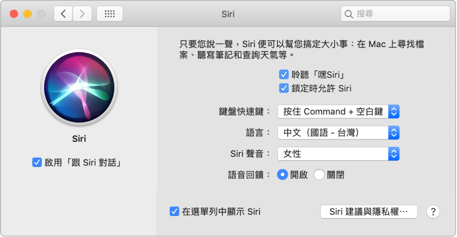 Siri 偏好設定視窗，左側已選擇「啟用跟 Siri 對話」；而右側則是自訂 Siri 的數個選項，包含「聆聽嘿 Siri」。