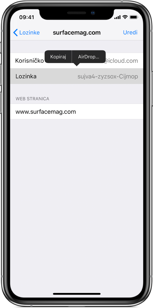 Zaslon računa za web stranicu. Odabran je odjeljak lozinke, a izbornik koji sadrži stavke Kopiraj i AirDrop pojavljuje se iznad njega.