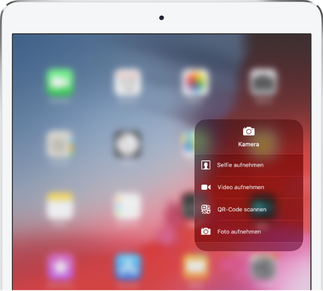 Ein Bildschirm mit den weiteren Optionen für die Kamera, die erscheinen, wenn du den Finger auf das Symbol „Kamera“ legst. Diese Optionen sind: „Selfie aufnehmen“, „Video aufnehmen“, „QR-Code scannen“ und „Foto aufnehmen“.