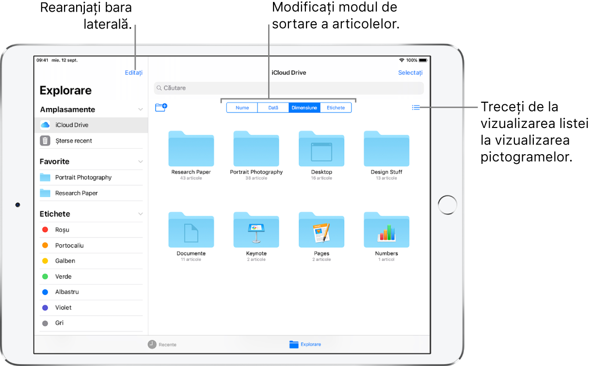 Un amplasament iCloud Drive cu butoane pentru rearanjarea barei laterale, pentru sortarea după Nume, Dată, Dimensiune și Etichete și pentru comutarea între vizualizarea sub formă de listă sau de pictograme.