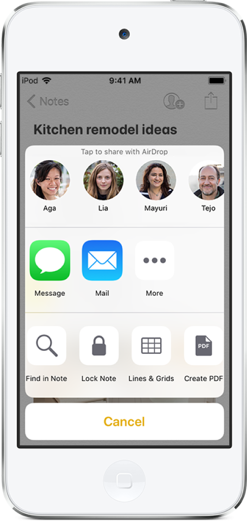 The share screen with options to share a note with AirDrop or through Messages or Mail.