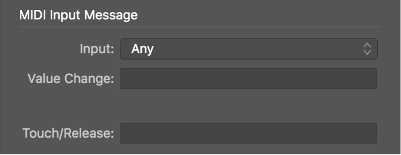 Figure. Input Message parameters in expert view mode.