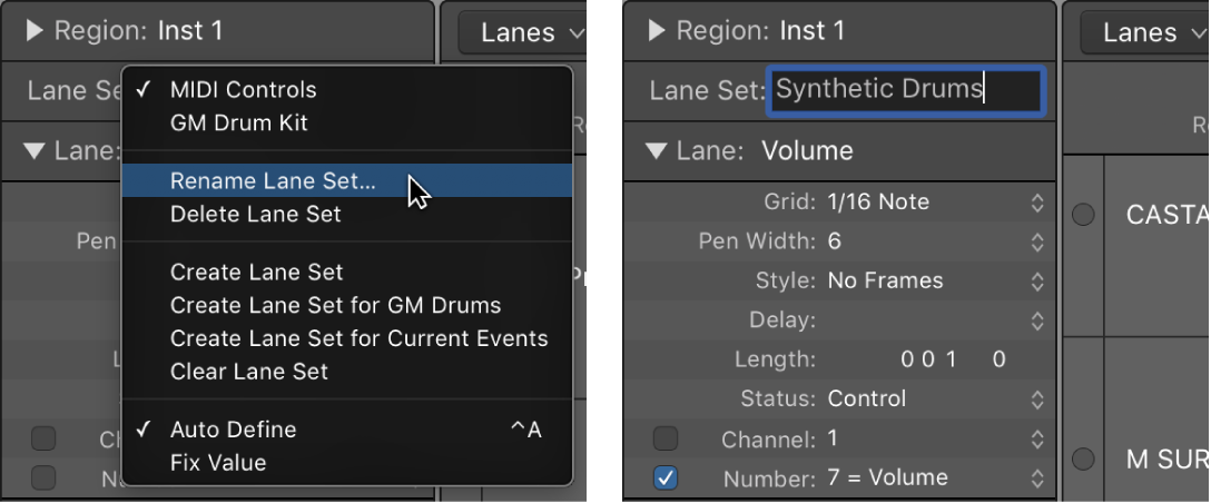 Figure. Entering a Lane Set name in the Inspector.