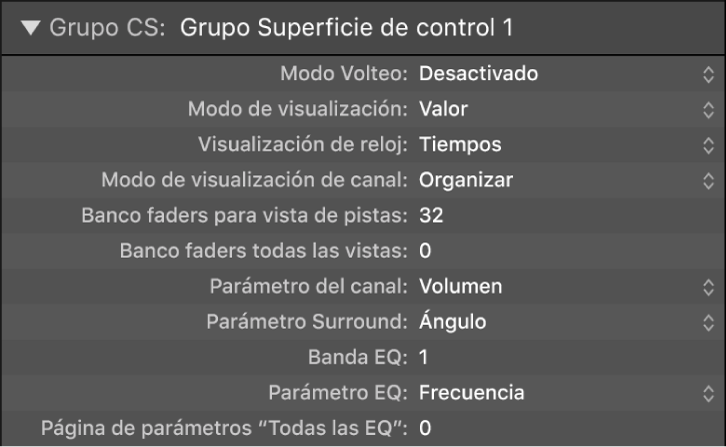 Ilustración. Imagen de los parámetros de visualización del grupo de superficies de control.