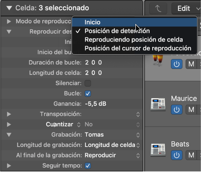 Ilustración. Ajuste “Reproducir desde” del inspector de celdas.