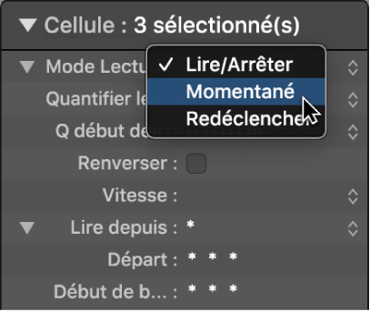 Figure. Réglage Mode Lecture dans l’inspecteur de cellule.