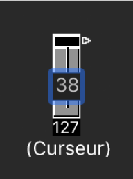 Figure. Illustration de la saisie d’une valeur sur un objet Curseur.