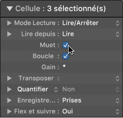 Figure. Case Muet dans l’inspecteur de cellule.