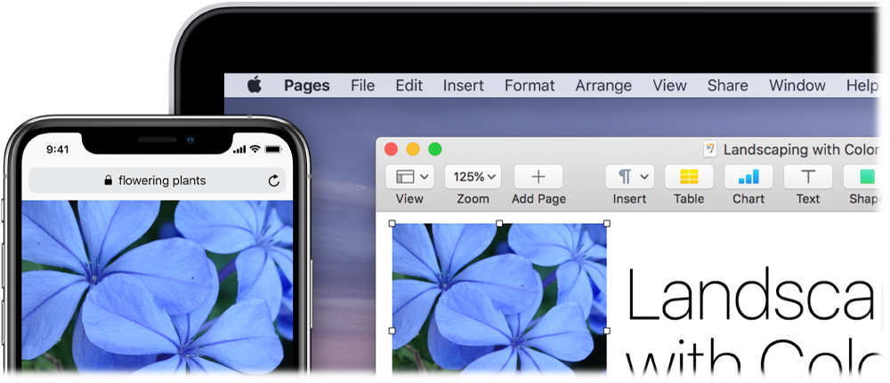 An iPhone showing a photo, next to a Mac showing the photo being pasted into a Pages document.