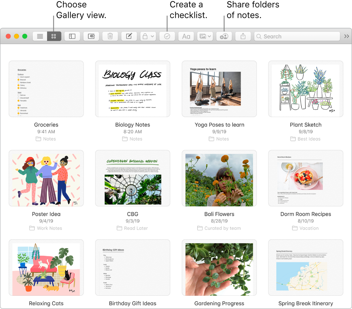 A Notes window showing the choose a gallery view button, the checklist button, and the share folder button.