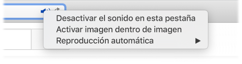 El submenú del icono Audio, con los ítems “Desactivar el sonido en esta pestaña”, “Activar imagen dentro de imagen” y “Reproducción automática”.