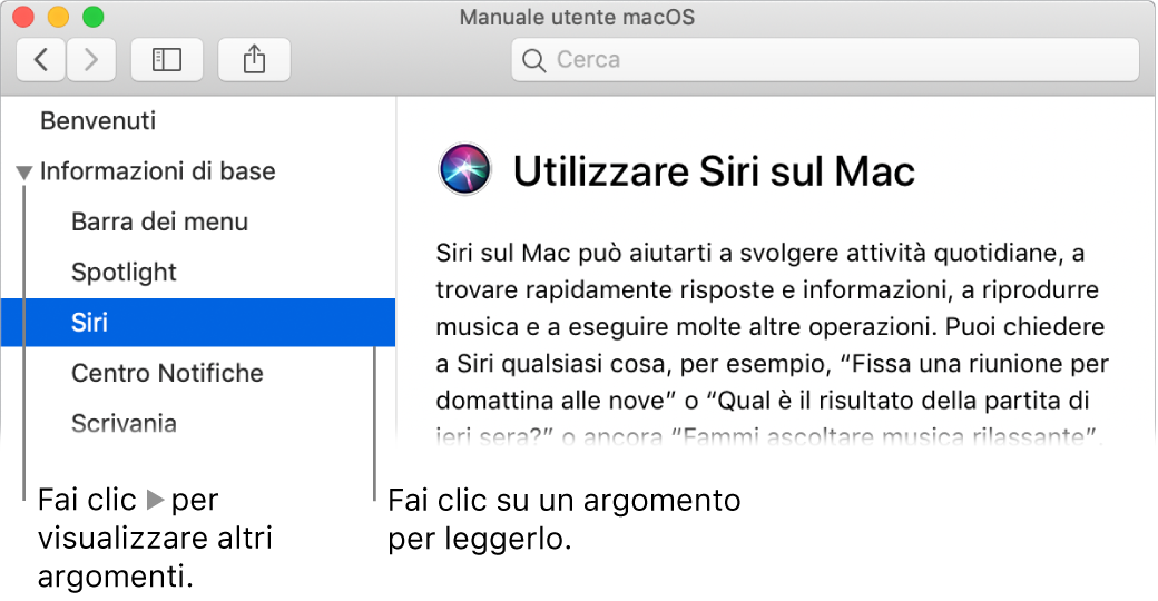 Visore di Aiuto che mostra come visualizzare gli argomenti elencati nella barra laterale e il contenuto di un argomento.