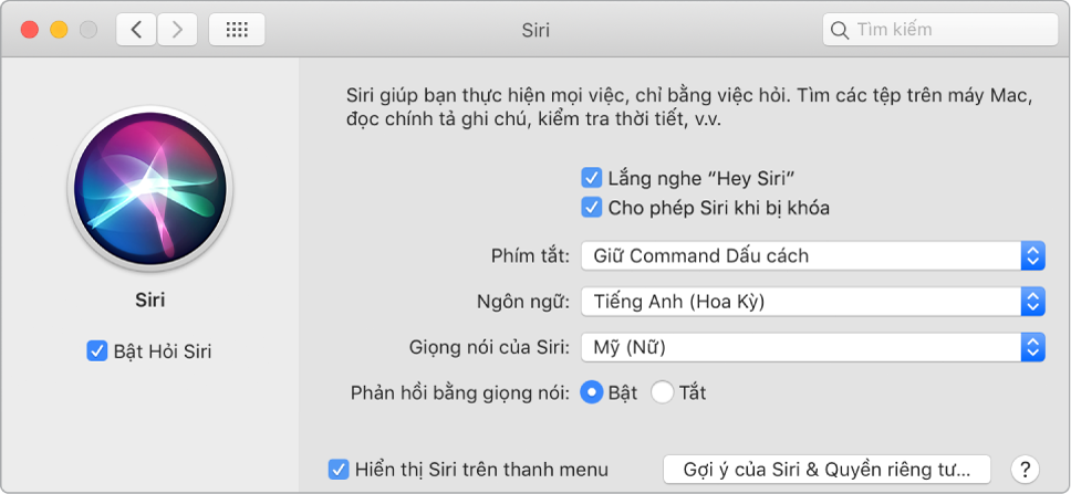 Cửa sổ tùy chọn Siri với Bật Hỏi Siri được chọn ở bên trái và một số tùy chọn để tùy chỉnh Siri ở bên phải, bao gồm “Lắng nghe ‘Hey Siri’”.