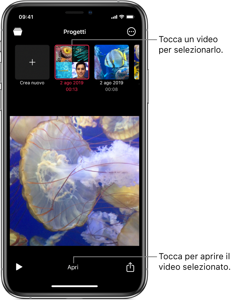 Le miniature dei progetti sopra l'immagine di un video nel visualizzatore, con il pulsante Apri in basso.
