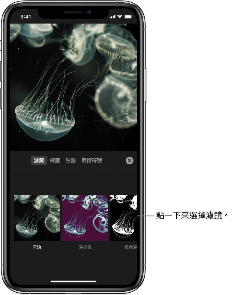 檢視器中顯示影片影像，選取了「濾鏡」和「漫畫書」濾鏡，並於下方顯示其他濾鏡。