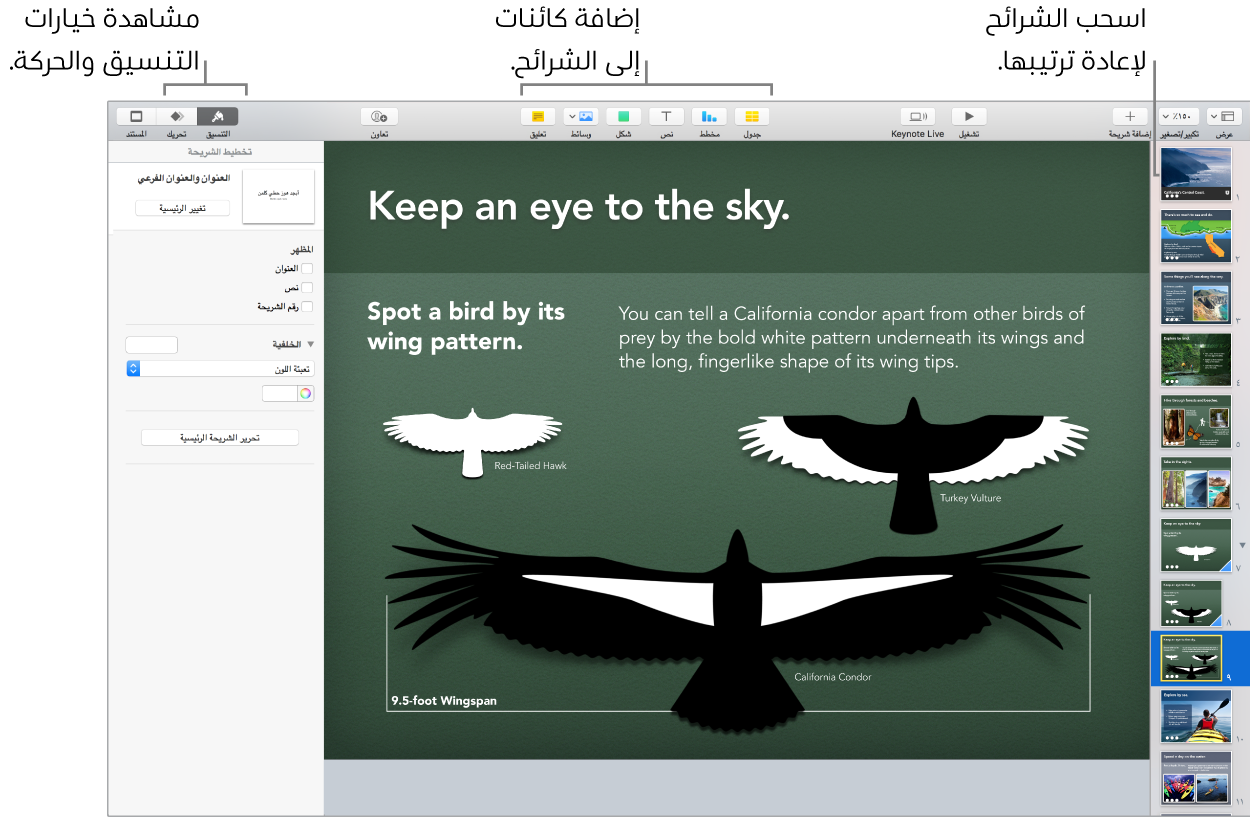 نافذة Keynote تعرض كيفية إعادة ترتيب الشرائح، وتوضح الأزرار التي تتيح لك إضافة كائنات إلى الشرائح، بما في ذلك خيارات التنسيق والحركة.