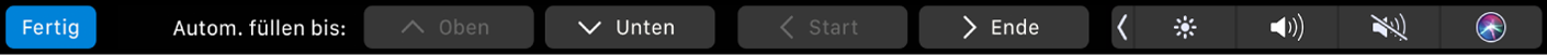 Die Numbers-Touch Bar mit angezeigter Taste für das automatische Ausfüllen Dazu gehören die Tasten „Oben“, „Unten“, „Start“ und „Ende“.