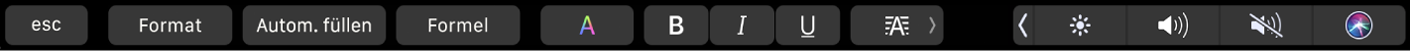 Die Numbers-Touch Bar mit den Tasten „Format“, „Automatisch Ausfüllen“ und „Formel“ Sie umfasst auch Textformatierungstasten für Farben, fette Schrift, Kursivschrift, Unterstreichen und Textausrichtung.