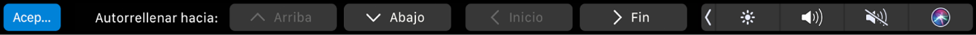 Touch Bar de Numbers con los botones de autorrelleno. Estos incluyen superior, inferior, inicio y final.