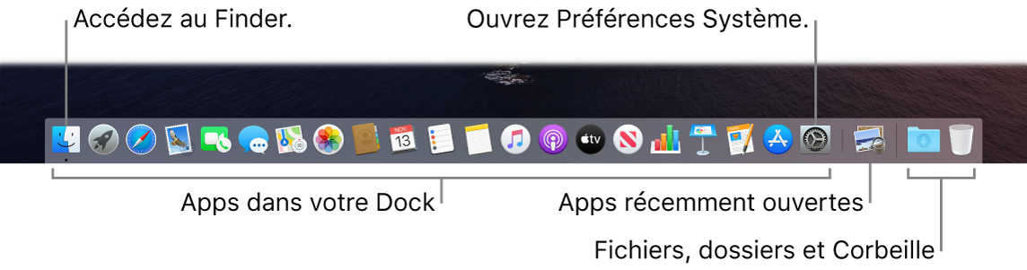 Le Dock affichant le Finder, les Préférences Système et le trait dans le Dock séparant les apps des fichiers et dossiers.