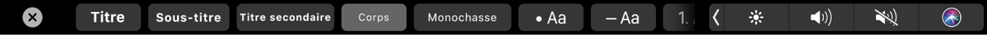 Touch Bar de Notes avec des boutons correspondant aux styles de paragraphe, notamment Titre, Sous-section et Corps, ainsi que des boutons correspondant aux options de liste, comme une puce, un tiret et un numéro.