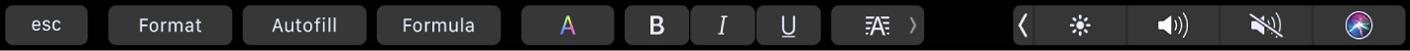 Format, Autofill және Formula үшін түймелері бар Numbers Touch Bar. Сондай-ақ, түс, қалың, көлбеу, асты сызылған қаріптер және туралау үшін мәтінді пішімдеу түймелері бар.