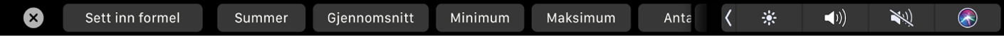 Touch Bar for Numbers med formelknapper. Noen av knappene som vises, er summer, gjennomsnitt, minimum, maksimum og antall.
